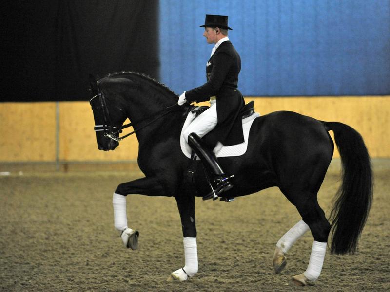 Reiten ist das Hobby der deutschen Blondine Reiten ist das Hobby der deutschen Blondine